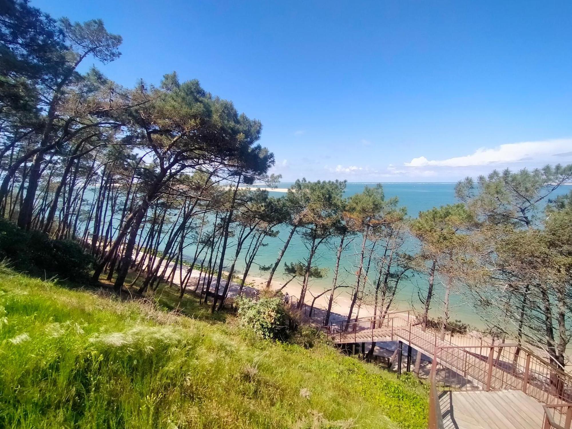 Gite Avec Piscine Et Espace Bien-Etre Partages Entre Bordeaux Et Lacanau Ocean (Adults Only) Brach Εξωτερικό φωτογραφία